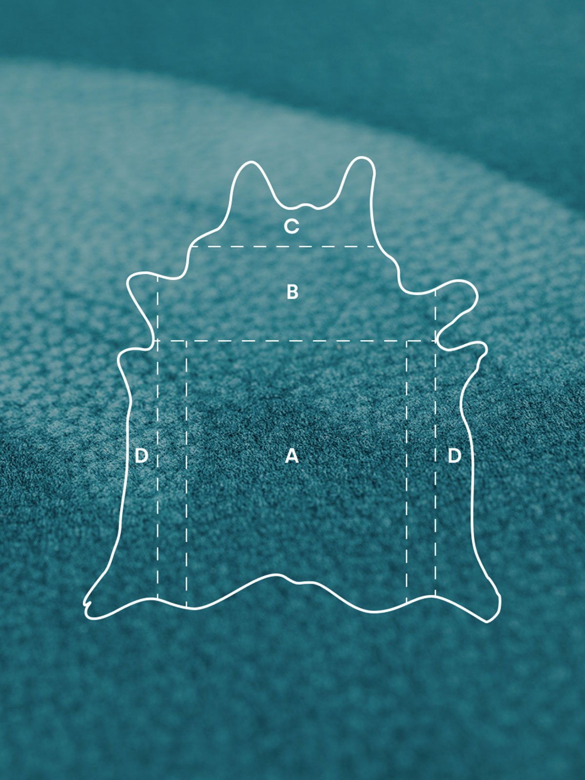 Parti della pelle - Gruppo Mastrotto