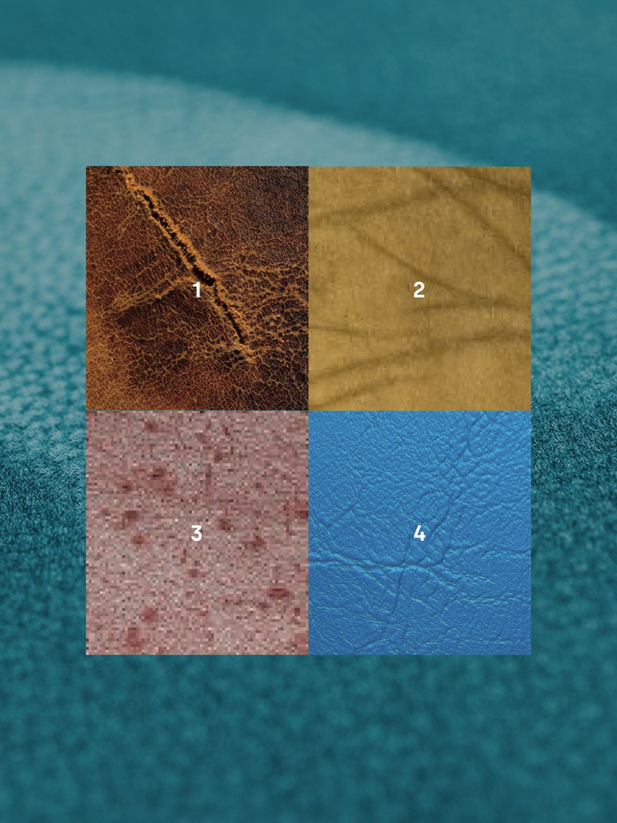 Possibili difetti della pelle - Gruppo Mastrotto