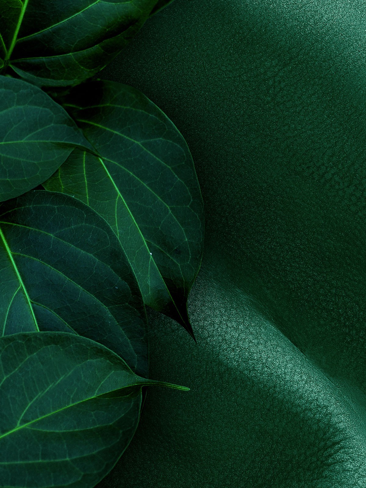 dettaglio pelle verde - Gruppo Mastrotto