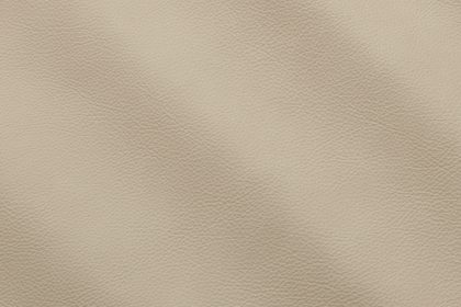 Moonlight - IC011010