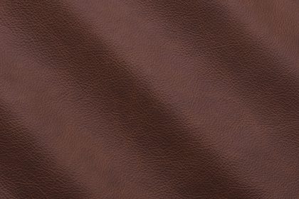 Raspberry - IC011012